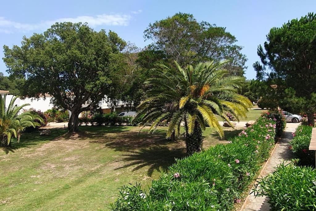 Fiori Di Cala Rossa Appartement T3 Dans Residence Hotelliere Chez Virginie Lecci Bagian luar foto